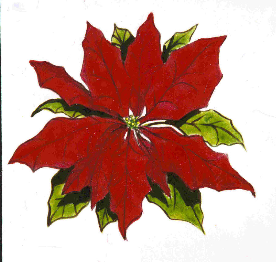 Red Poinsettia Painting by Dy Witt - Fine Art America