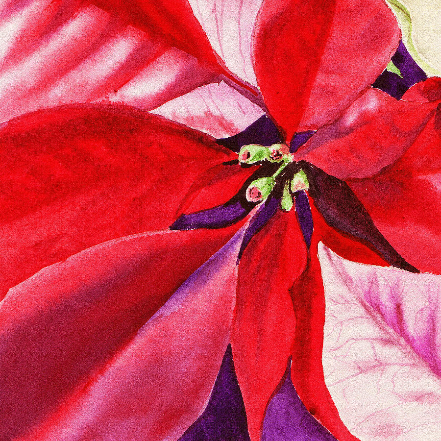 Christmas Painting - Red Poinsettia Plant by Irina Sztukowski