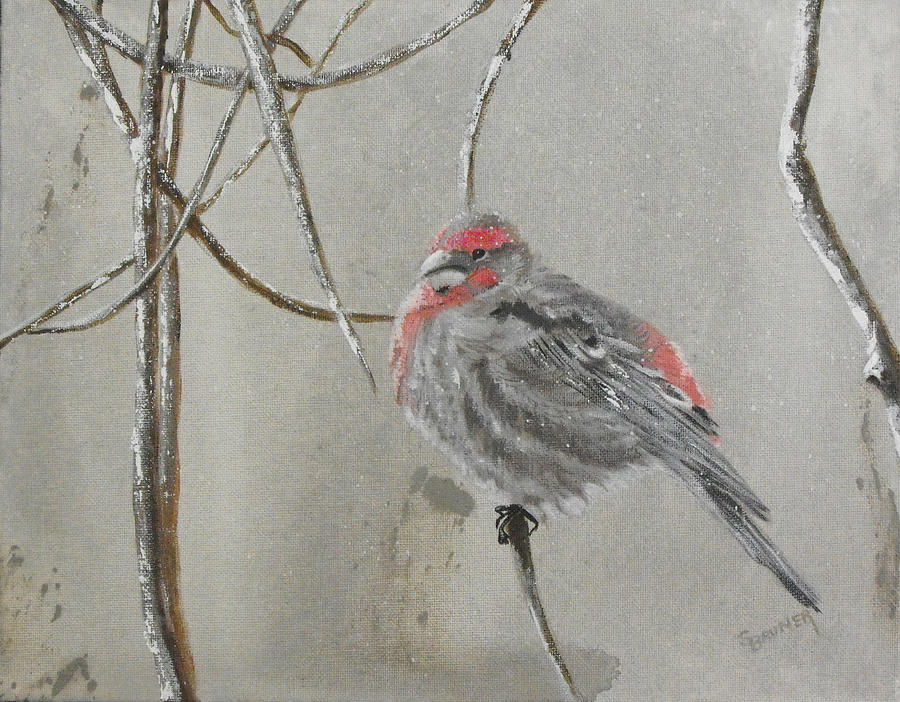 Red Poll in Winter Painting by Susan Bruner