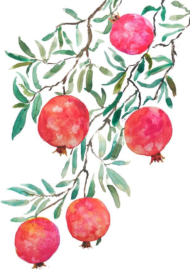 Red Pomegranate Painting by Color Color