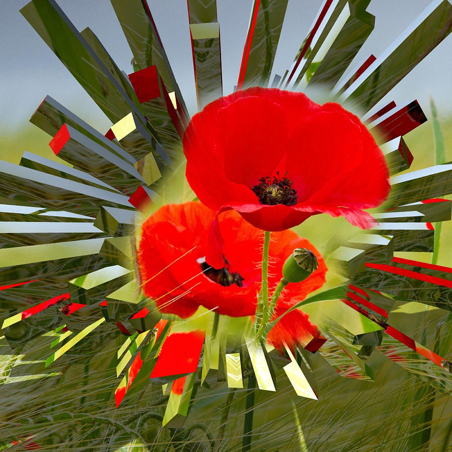 Digital Digital Art - Red Poppies Go Digital by Clive Littin