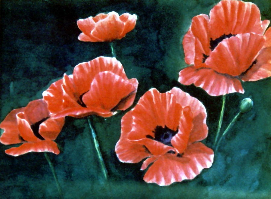 Red Poppies Painting by Suzanne Krueger