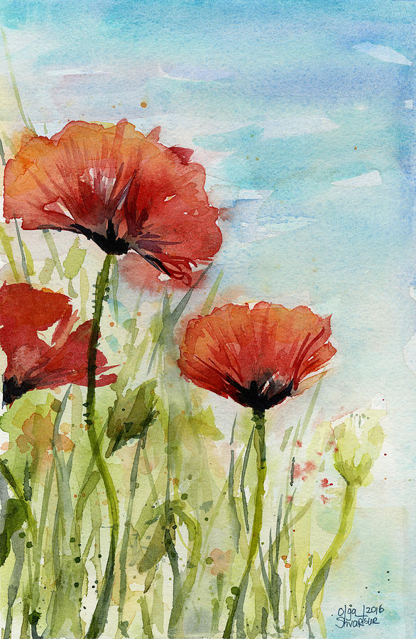 Red Poppy Painting - Red Poppies Watercolor by Olga Shvartsur