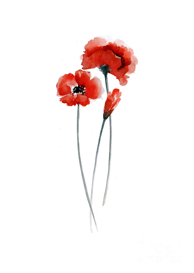 Poppies Watercolor - Painters Legend