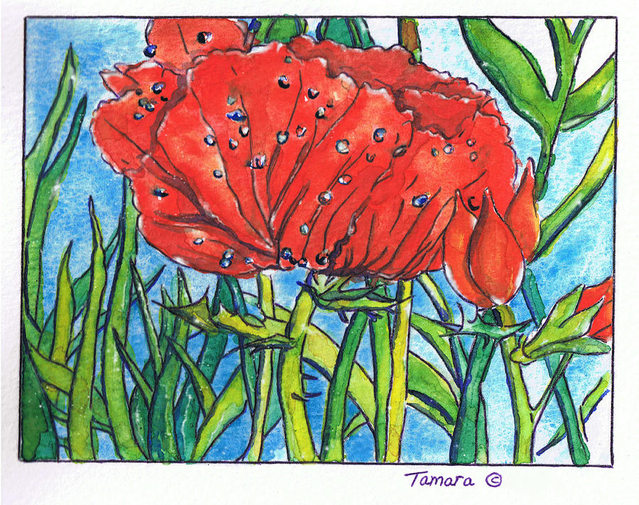 Red Poppy 1 Painting by Tamara Kulish