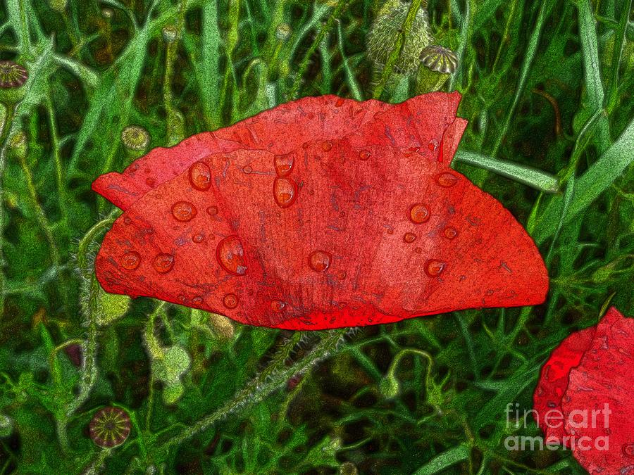Red Poppy Flower 4 Photograph by Jean Bernard Roussilhe