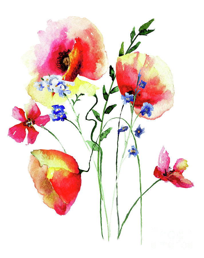 Red Poppy flowers Painting by Regina Jershova