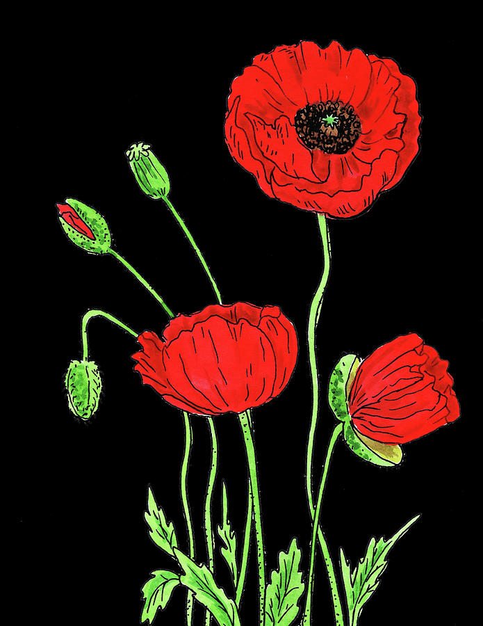 Red Poppy Flowers Watercolour Painting by Irina Sztukowski