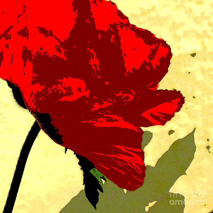 Red Poppy Digital Art by Marsha Young
