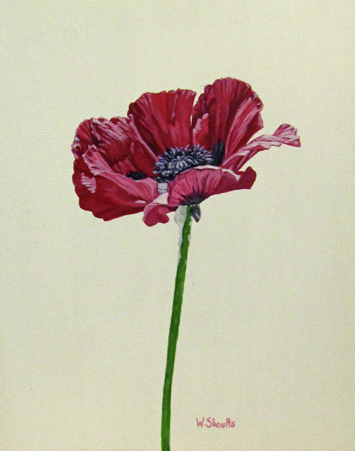 Red Poppy Painting by Wendy Shoults