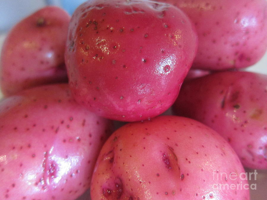 Red Potatoes Photograph by Funmi Adeshina