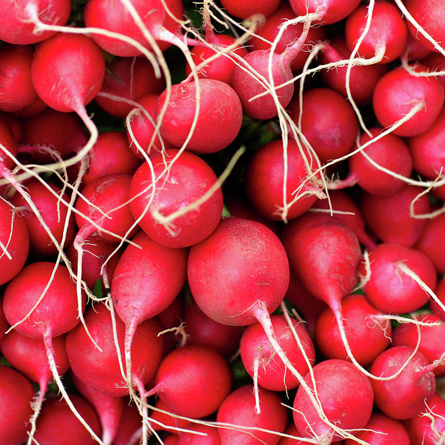 Red Radishes Photograph by Todd Klassy