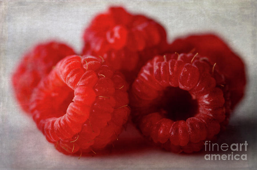 Red Raspberries Photograph by Tamara Becker