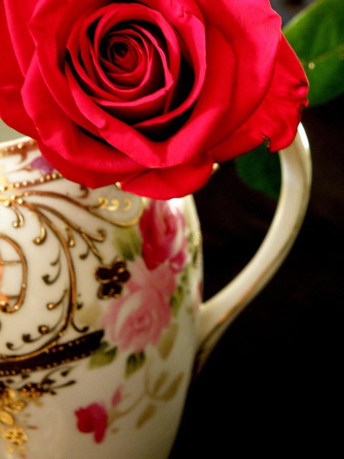 Still Life Photograph - Red Red Rose by Lainie Wrightson