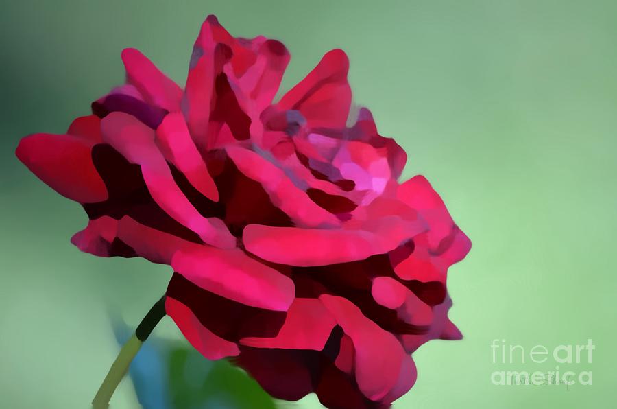 Rose Photograph - Red Red Rose by Terrilyne Shoaf