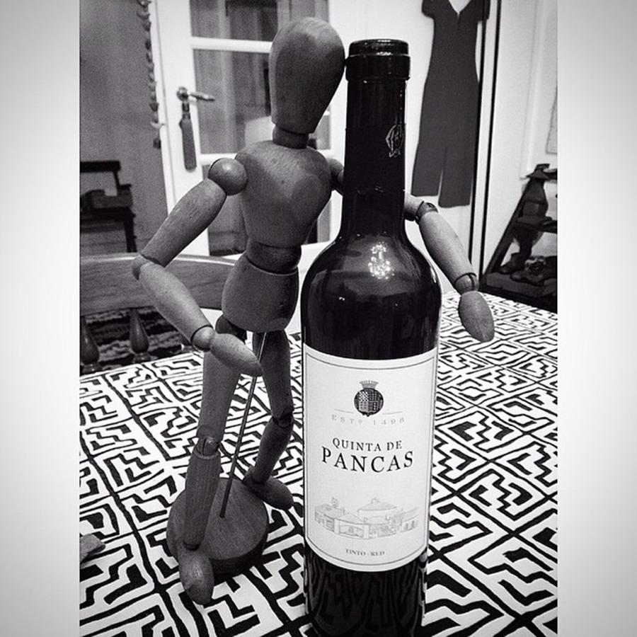 Toy Photograph - Red Red Wine by Pedro Silva