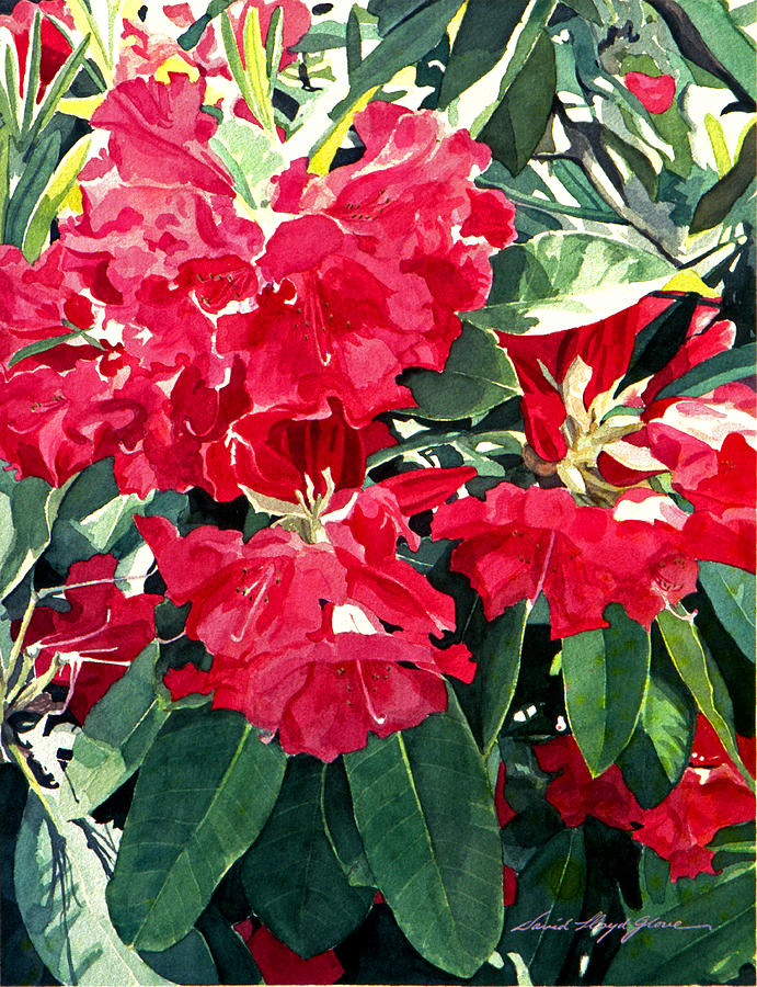 Red Rhododendrons of Dundarave Painting by David Lloyd Glover