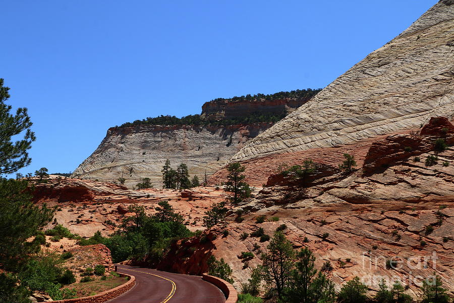 Red Road Winding Through Zion Park Photograph by Christiane Schulze Art And Photography