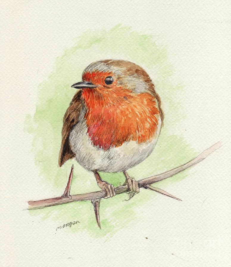 Red Robin Painting by Morgan Fitzsimons