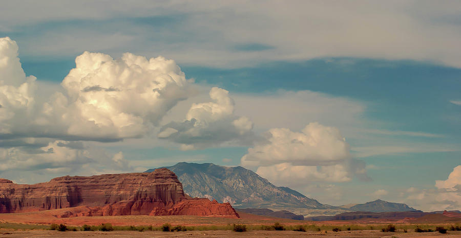 Mountain Photograph - Red Rock and Desert by Thomas Pettengill