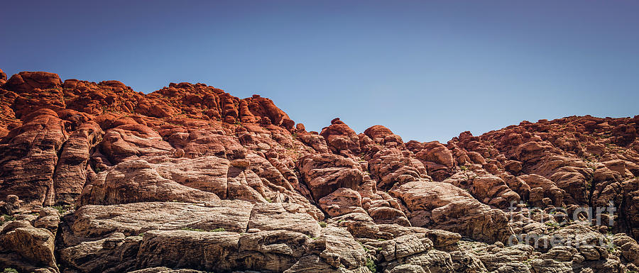 Red Rock Canyon #1 Photograph by Blake Webster