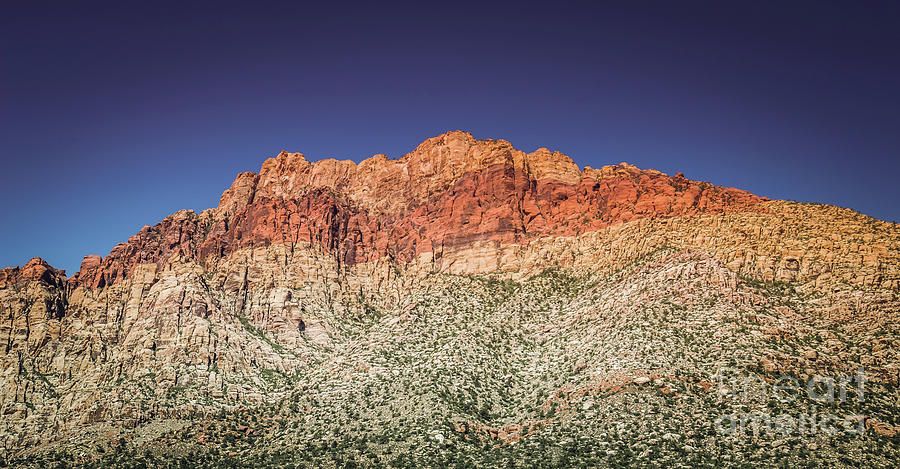 Red Rock Canyon #14 Photograph by Blake Webster