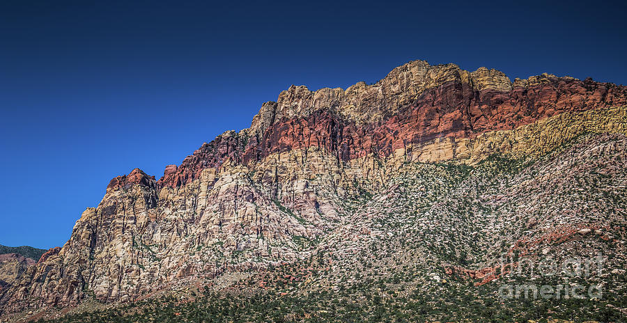 Red Rock Canyon #15 Photograph by Blake Webster