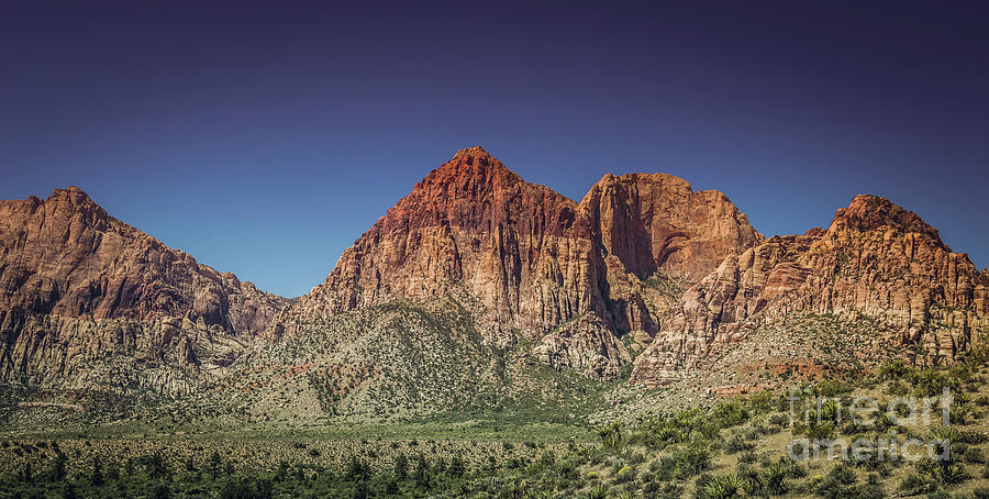 Red Rock Canyon #20 Photograph by Blake Webster