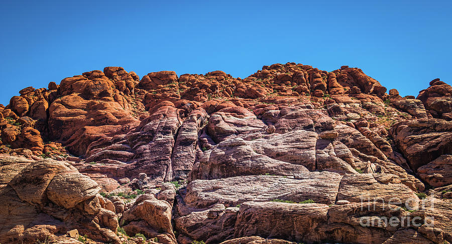 Red Rock Canyon #22 Photograph by Blake Webster
