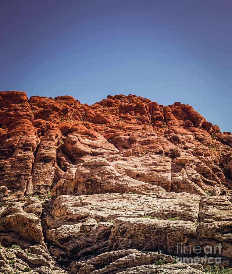Red Rock Canyon #4 Photograph by Blake Webster