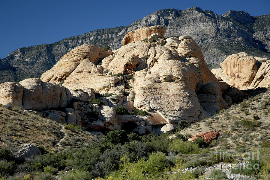 Red Rock Canyon #5 Photograph by Denise Bruchman
