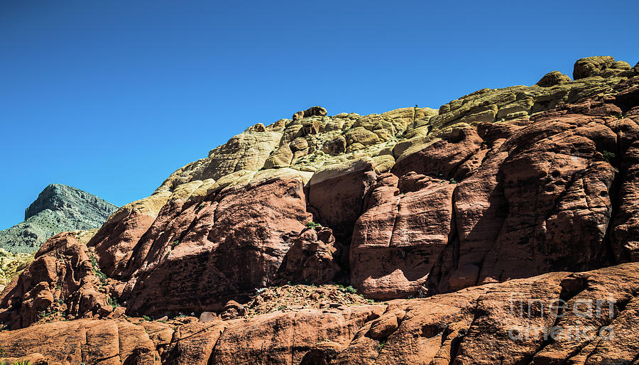 Red Rock Canyon #9 Photograph by Blake Webster