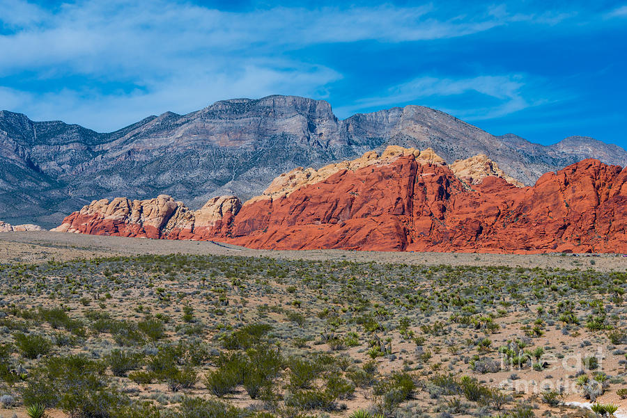 Red Rock Canyon Photograph by Anthony Sacco