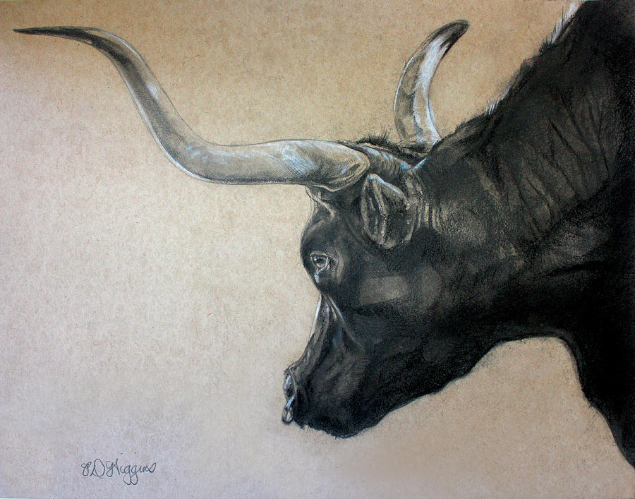 Bull Drawing - Red Rock Canyon Bull by Derrick Higgins