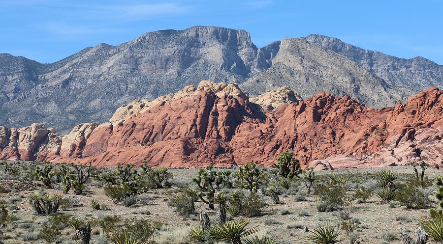 Red Rock Canyon  Photograph by Christy Pooschke