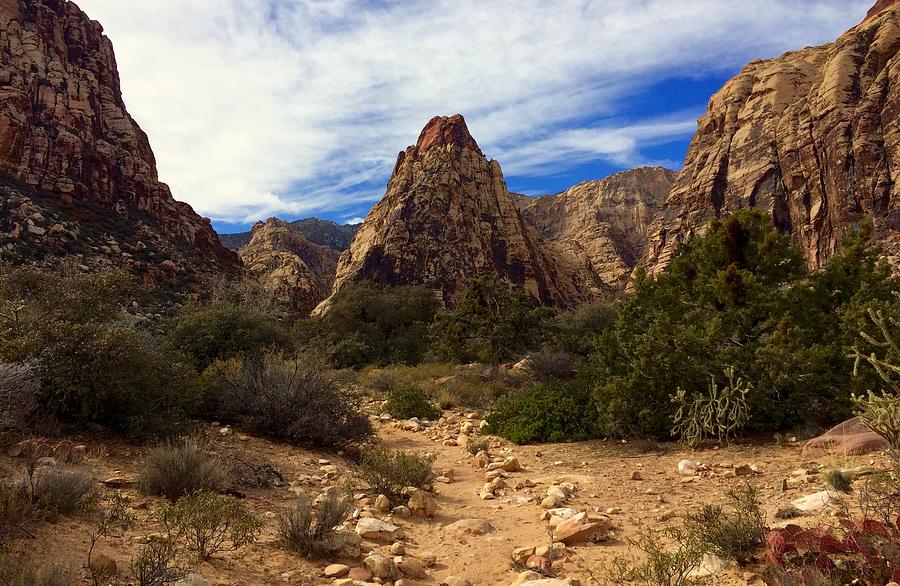 Red Rock Canyon Photograph by Donna Spadola