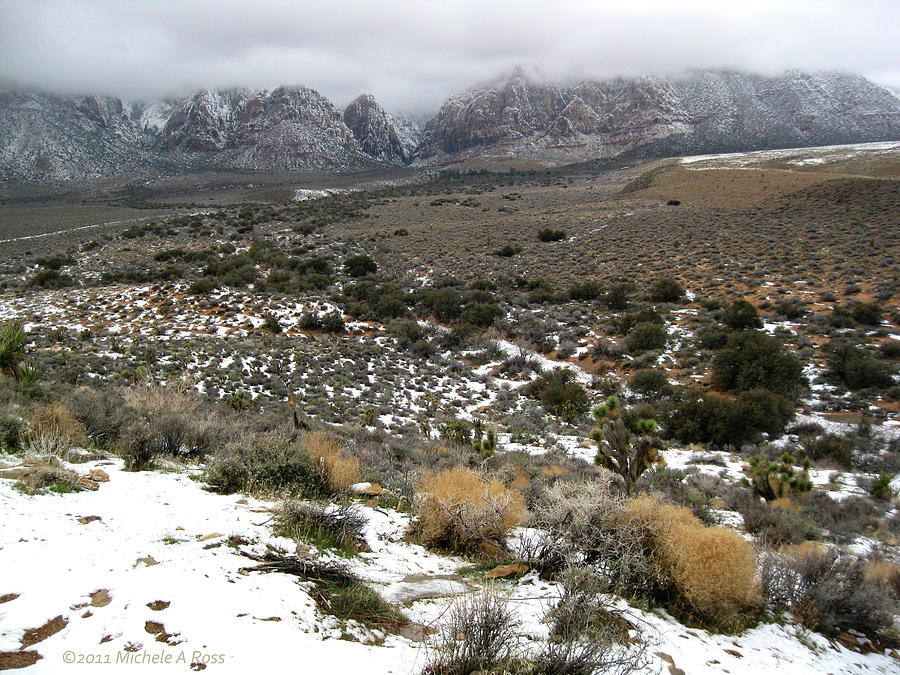 Winter Photograph - Red Rock Canyon In Winter by Michele Ross