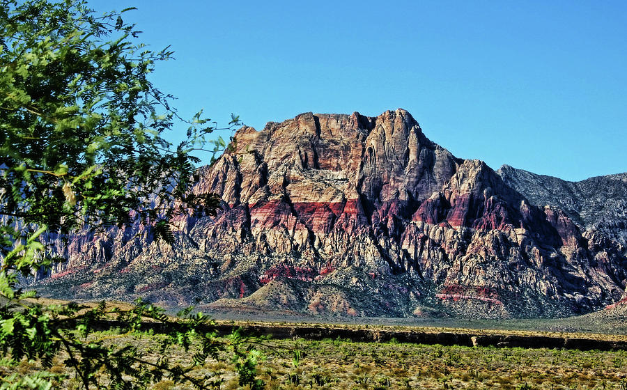 Red Rock Canyon Photograph by Judy Vincent