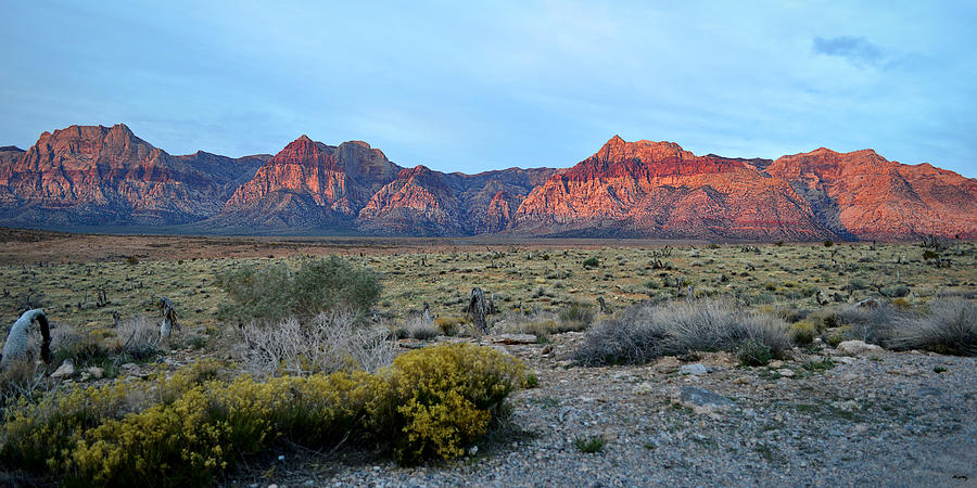 Red Rock Morning Panoramic Photograph by Glenn McCarthy Art and Photography