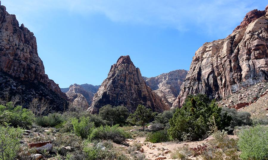 Red Rock Canyon National Conservation Area  Photograph by Christy Pooschke