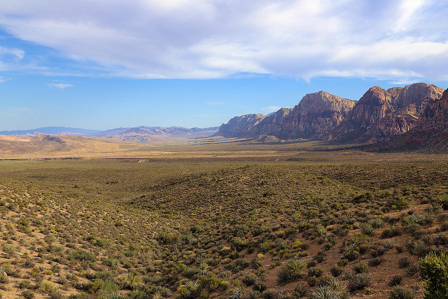 Red Rock Canyon Nevada Photograph by Viktor Savchenko