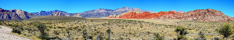 Red Rock Canyon Panorama Photograph by Barbara Teller