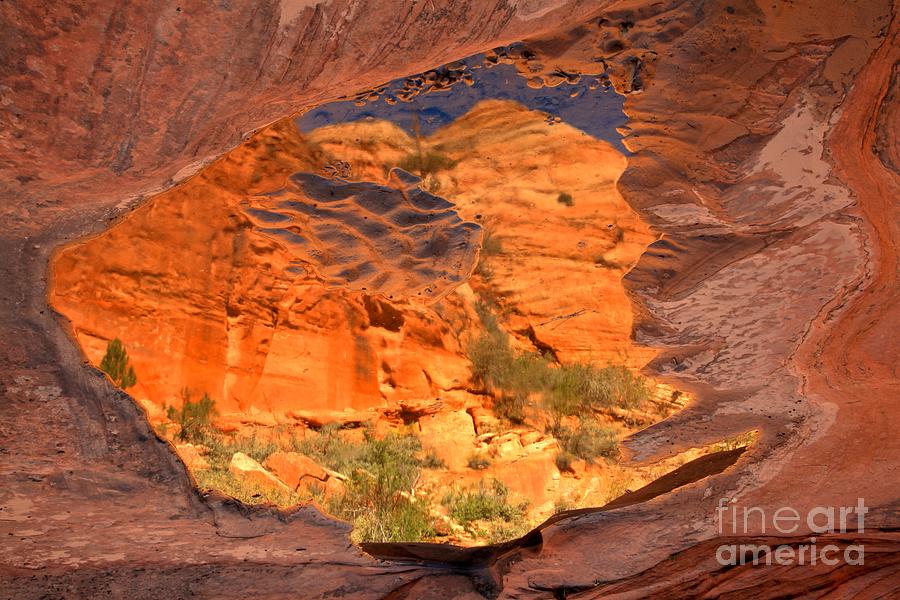 Zion National Park Photograph - Red Rock Canyon Reflections by Adam Jewell
