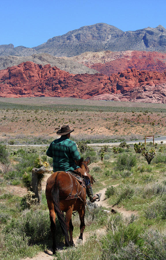 Red Rock Canyon Rider Photograph by Brook Burling