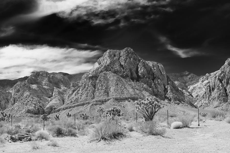 Red Rock Canyon Photograph by Maria Jansson