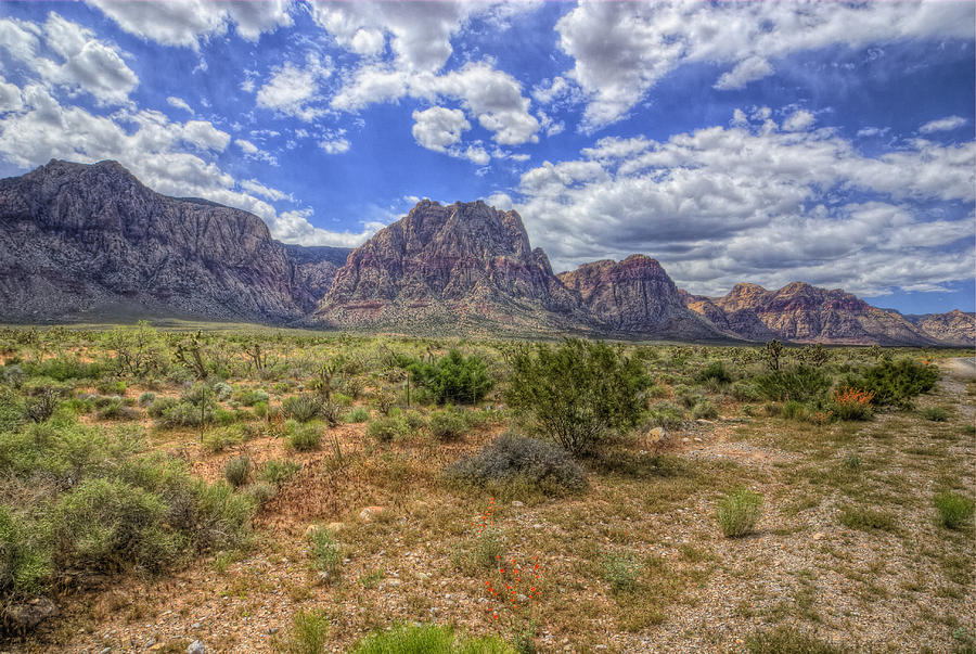 Red Rock Canyon Photograph by Stephen Campbell