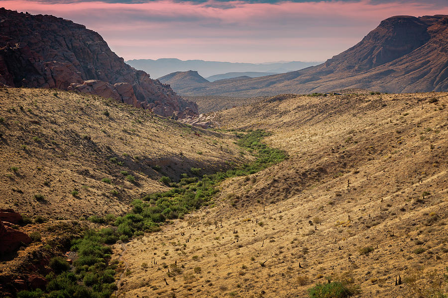 Red Rock Canyon VI Photograph by Ricky Barnard