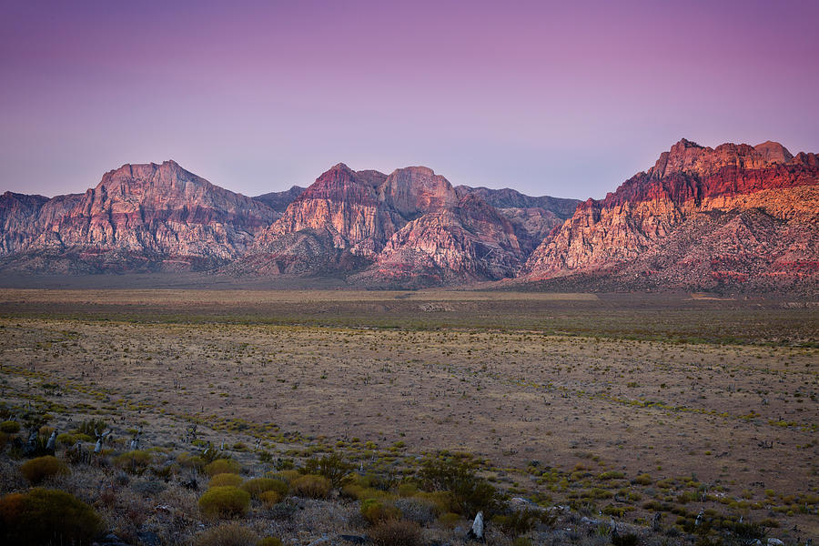 Red Rock Canyon XII Photograph by Ricky Barnard