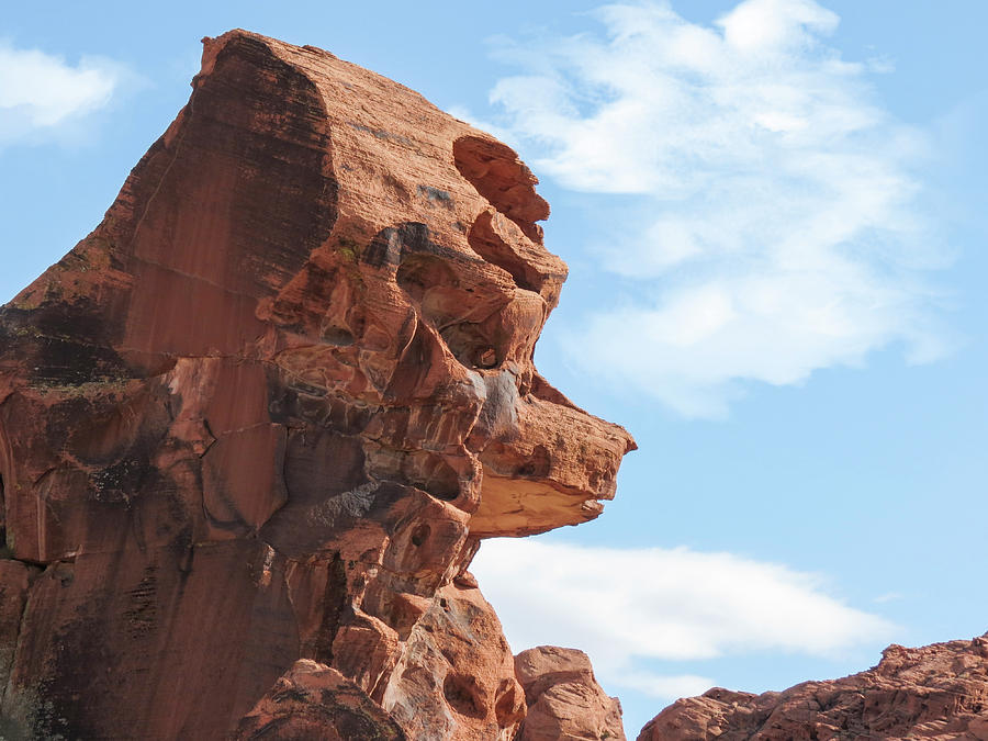 Valley of Fire - Poodle Rock Photograph by Patti Deters