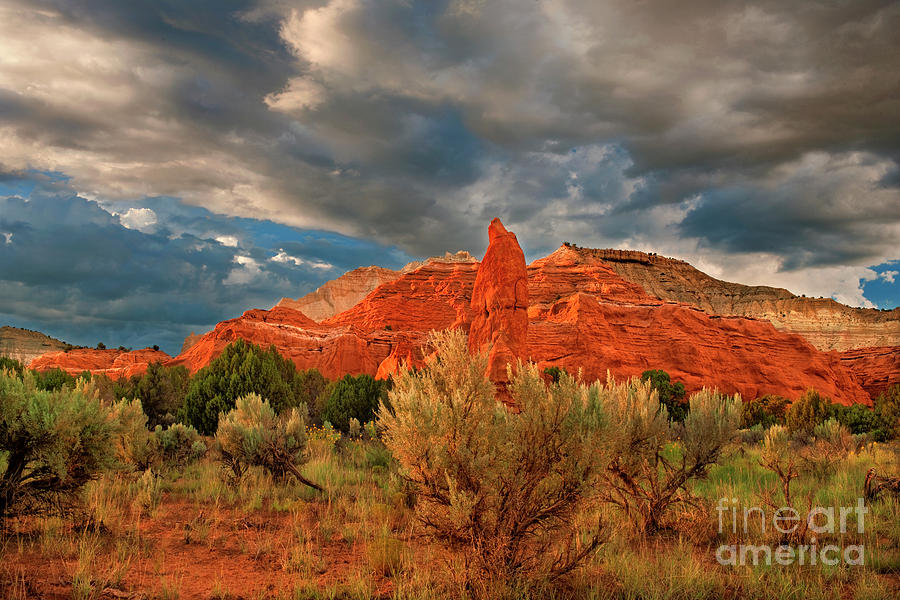 Red Rock Formations Kodachrome Basin State Park Utah Photograph by Dave Welling